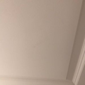 Meet your Posher, Judy